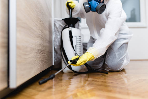 Best Affordable Pest Control Services  in Belleville, PA