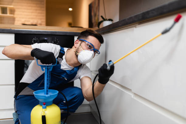 Best Rat Extermination Near Me  in Belleville, PA