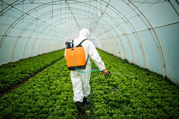 Best Pest Inspection Near Me  in Belleville, PA
