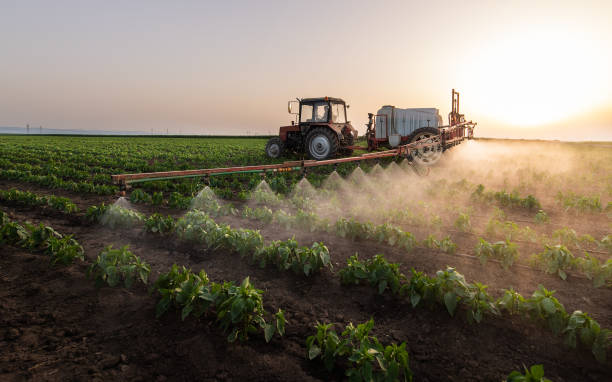 Best Commercial Pest Control Services  in Belleville, PA