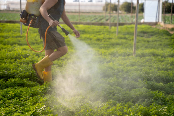 Pest Control for Restaurants in Belleville, PA
