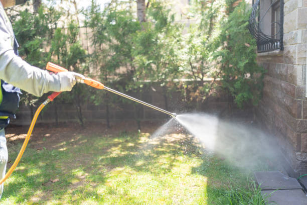 Wasp Removal Services in Belleville, PA