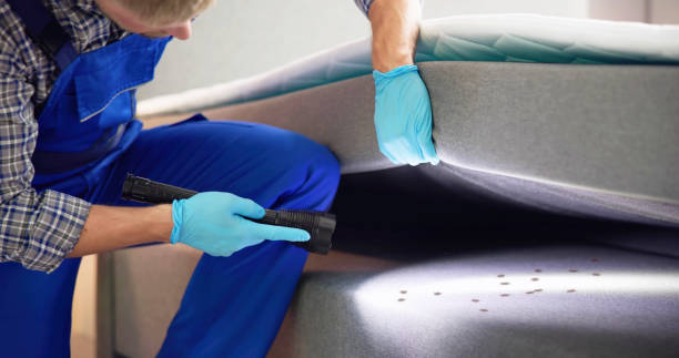 Best Residential Pest Control  in Belleville, PA