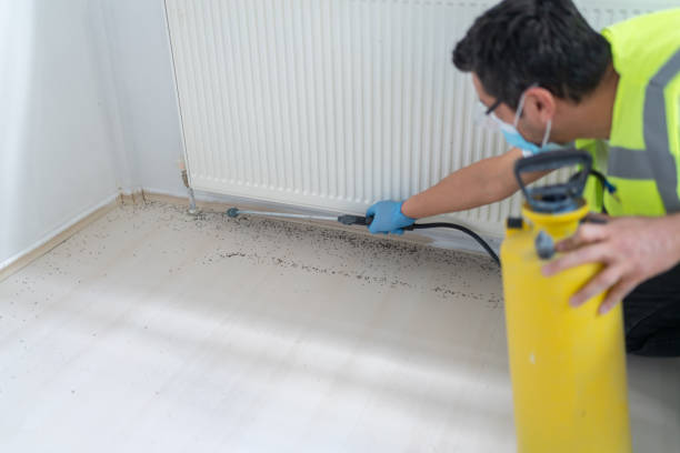 Flea Control Services in Belleville, PA